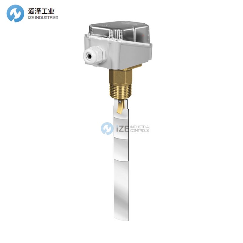 REGIN流量开关SF1E