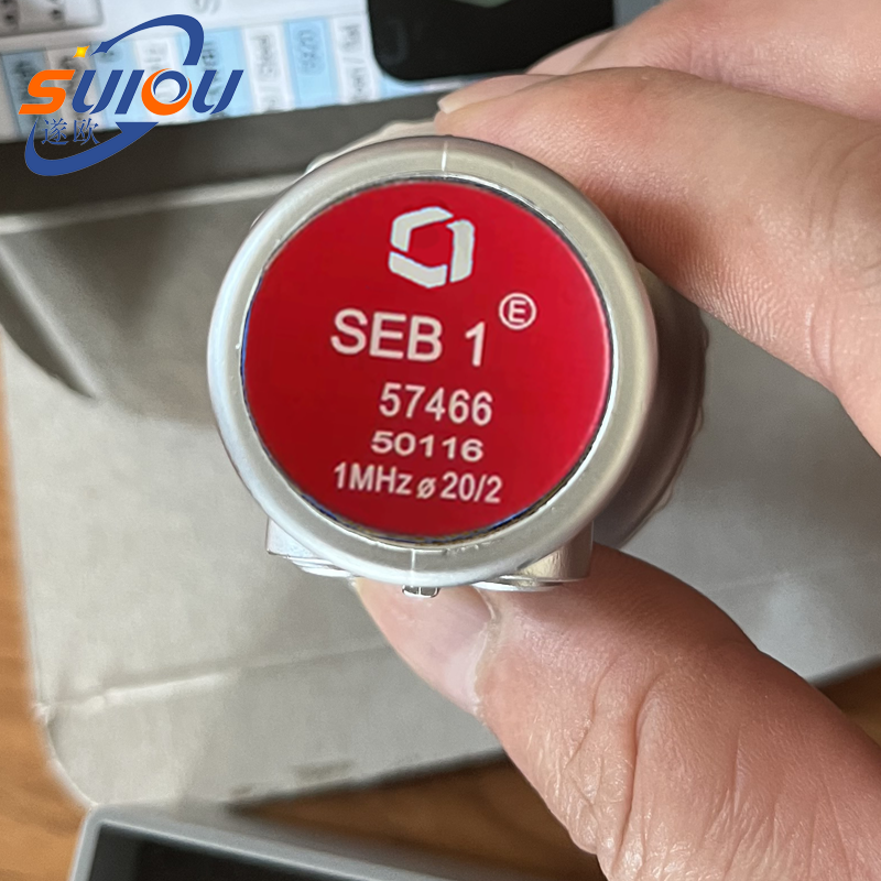 SEB1-ISO˫̽ͷGE˹