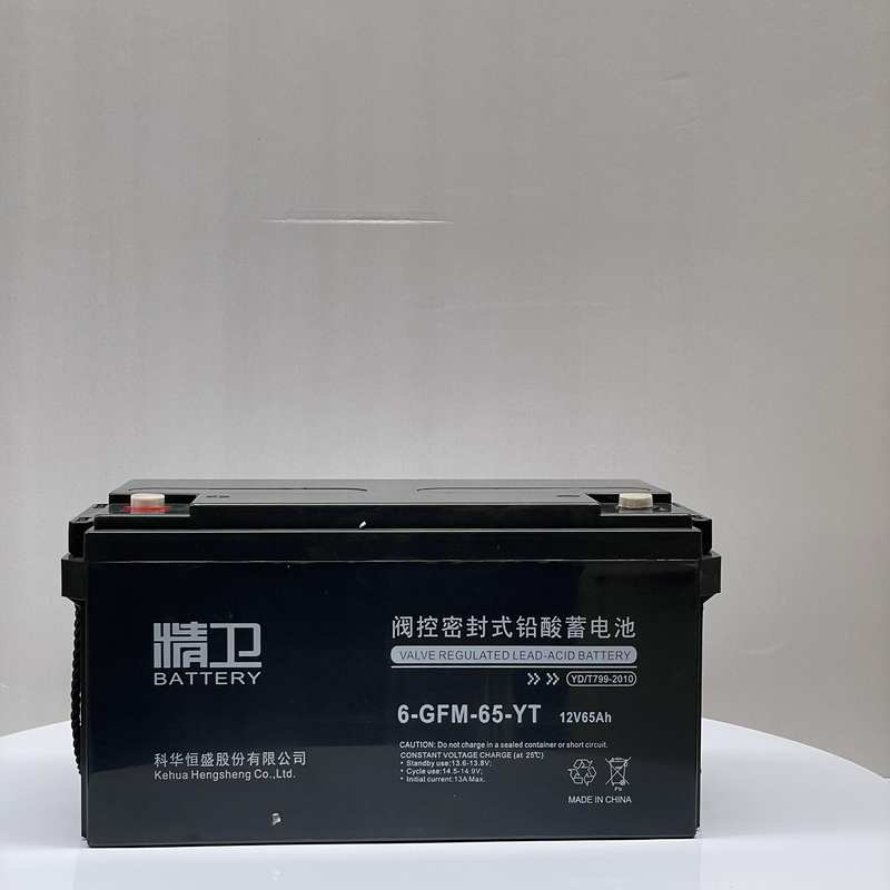 6-GFM-65-YT 12V65AH
