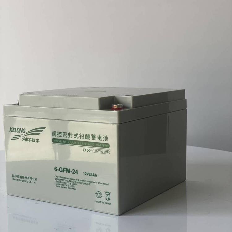 ƻ6-GFM-24 12V24AH