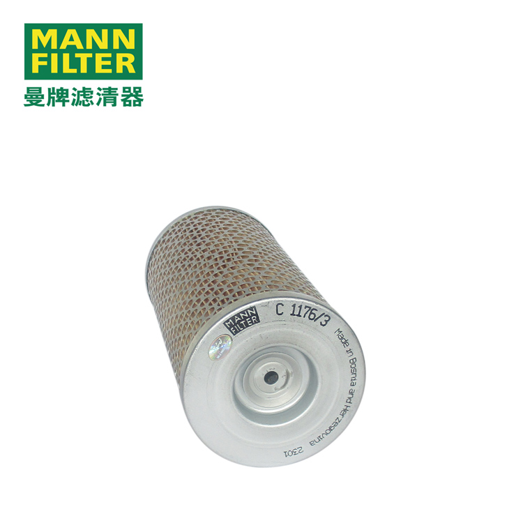 MANN-FILTERˡC1176/3