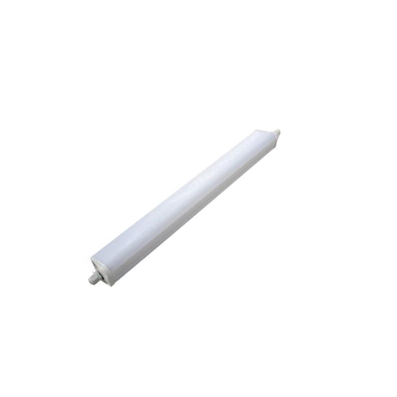 SZSW1240 LED֧ܵCX
