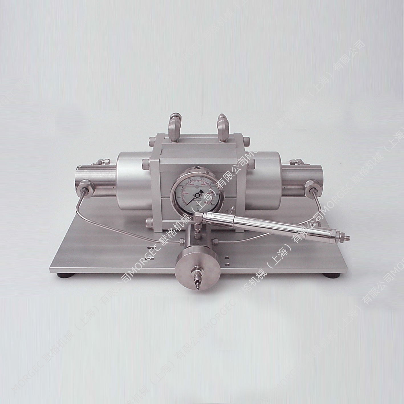 ĬMORGECѹʻ΢ϸ黯NMS-P30