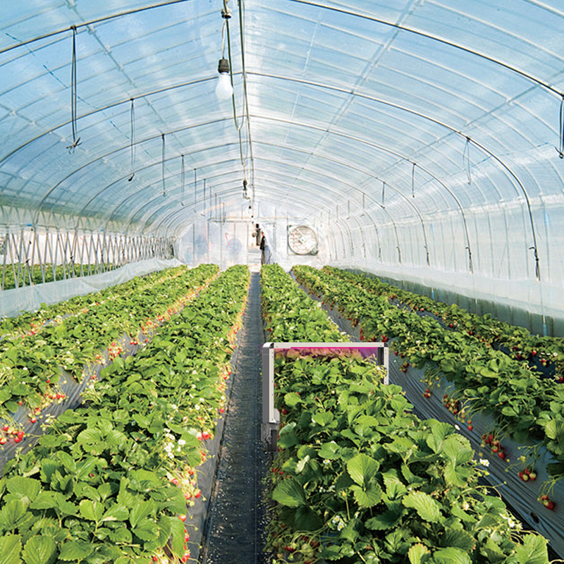 智易时代紫外杀虫机器人ZWIN-ROBOT