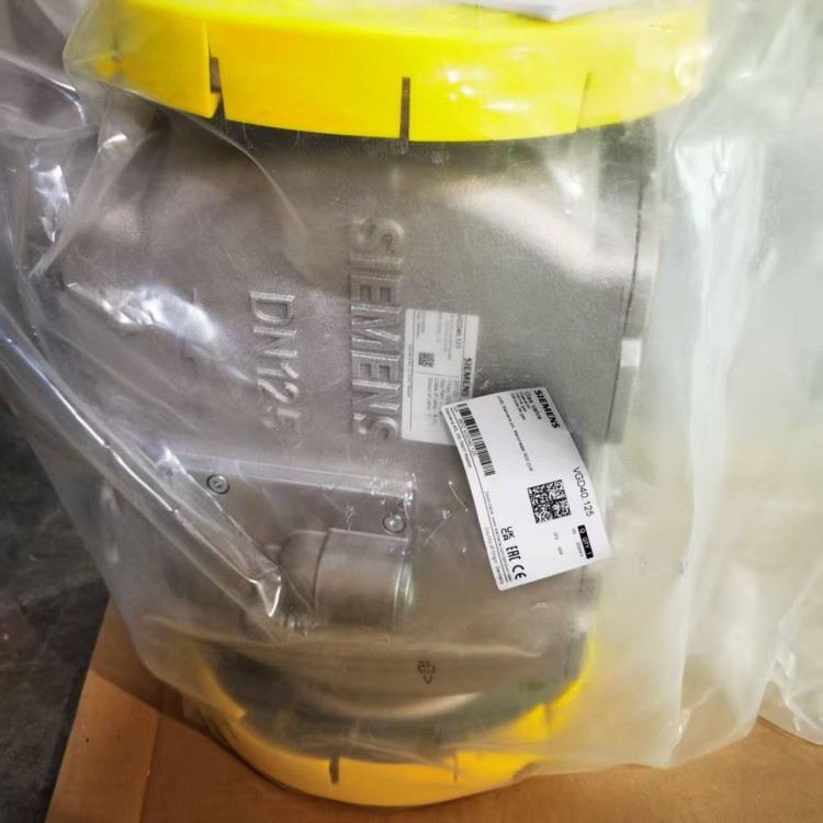 siemens¿ӱȵڿLMV60.110A2