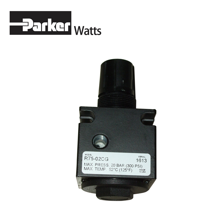 ParkerɿWattsR75-02CG
