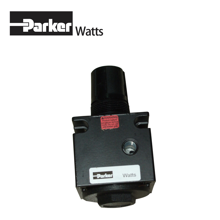 ParkerɿWattsR75-02CG