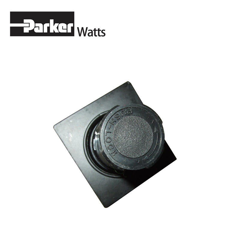 ParkerɿWattsR75-02CG