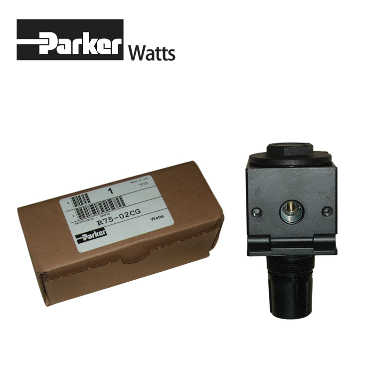 ParkerɿWattsR75-02CG