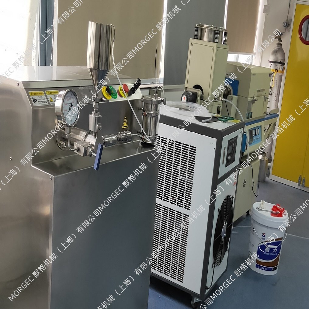 ĬMORGECҺѹ΢׾ʻϸ6L/ʱNMS-F6