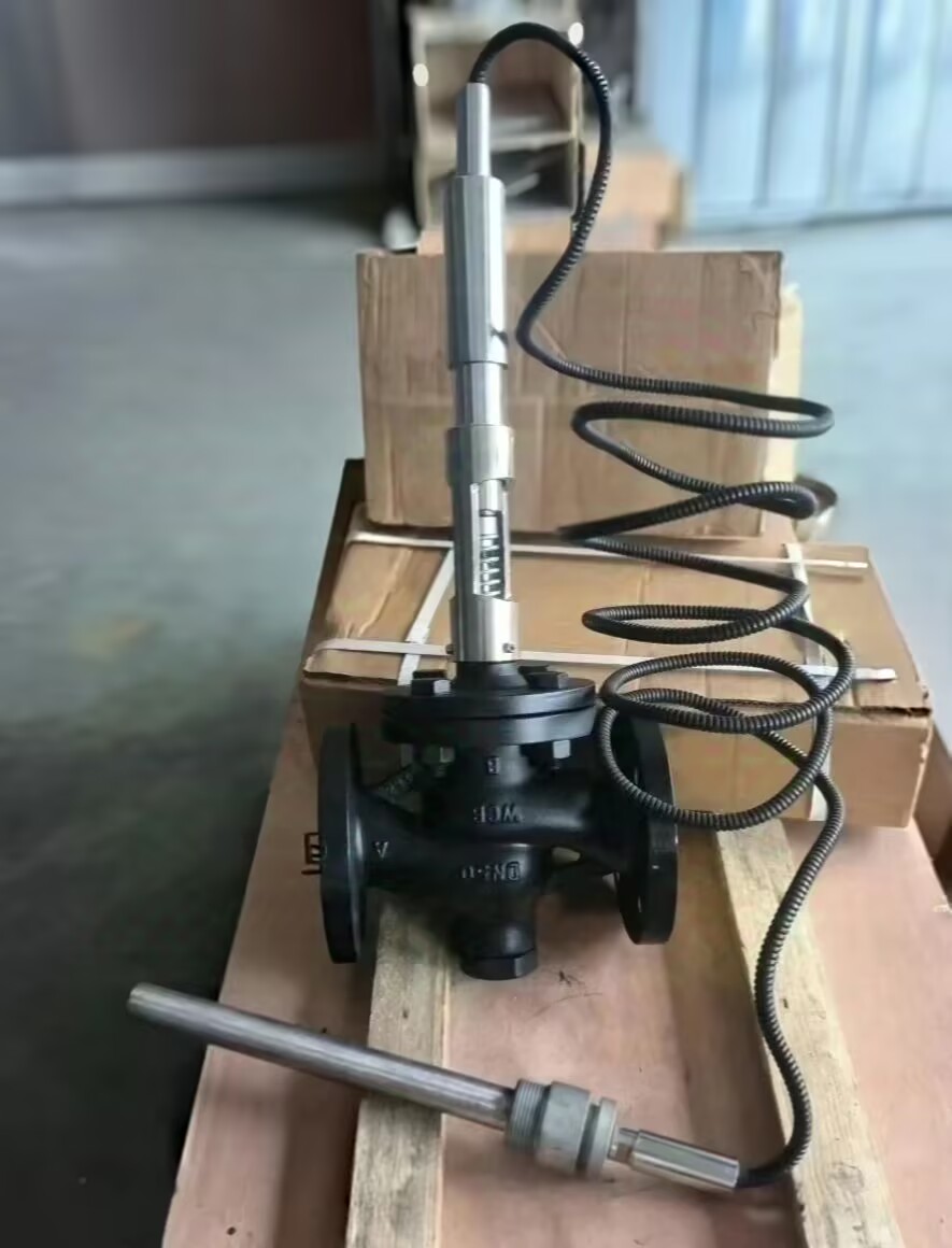 ͨDN50 ʽ¿ط /ȴ WCBֲZZWP-16C