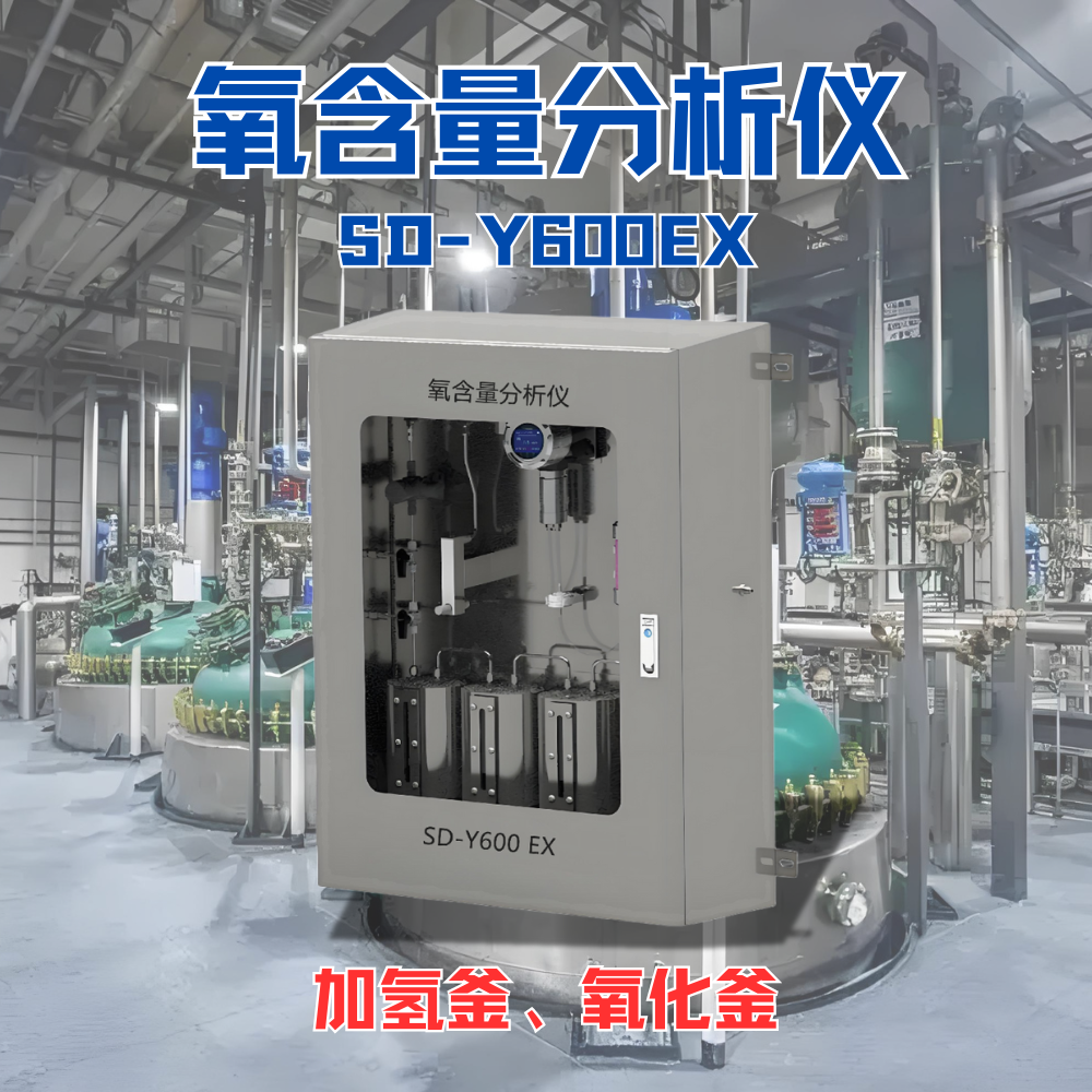 绯ѧ-⸪רSD-Y600EX