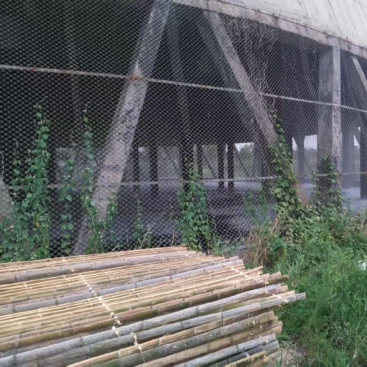 竹格填料水泥网格淋水填料竹片填料