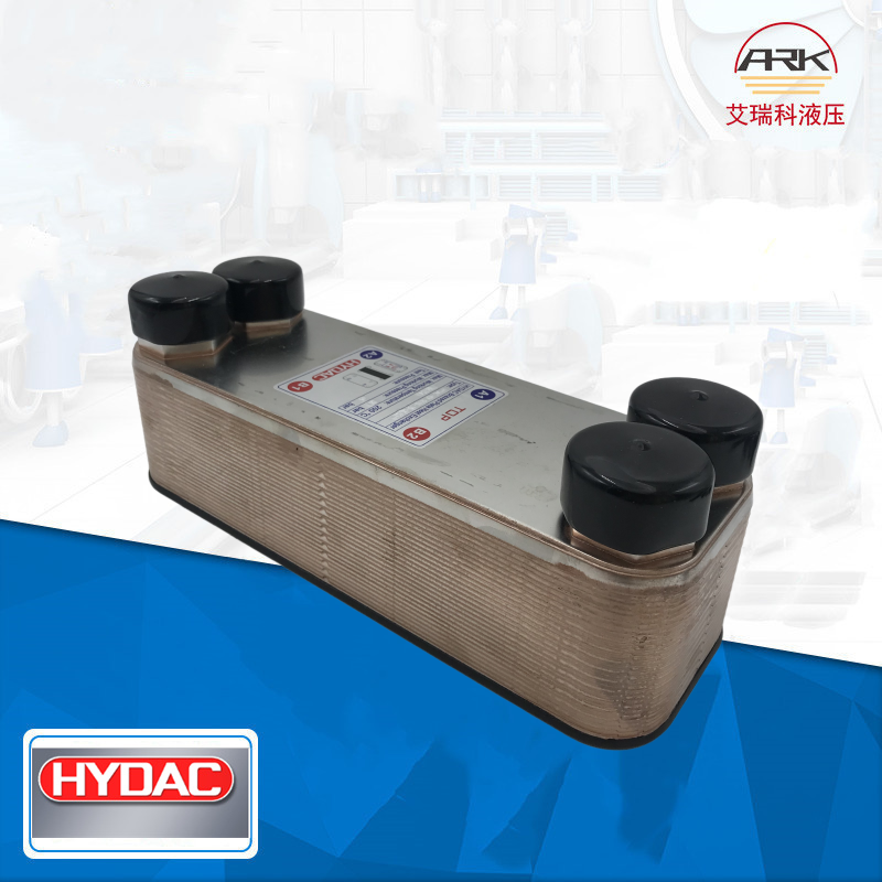 ص¿HEXS610-30-00/G1ʽȴʱһHYDACHEX Sʽ