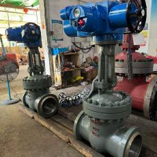 ǭӵ綯բ WCB Z961H-100C DN300