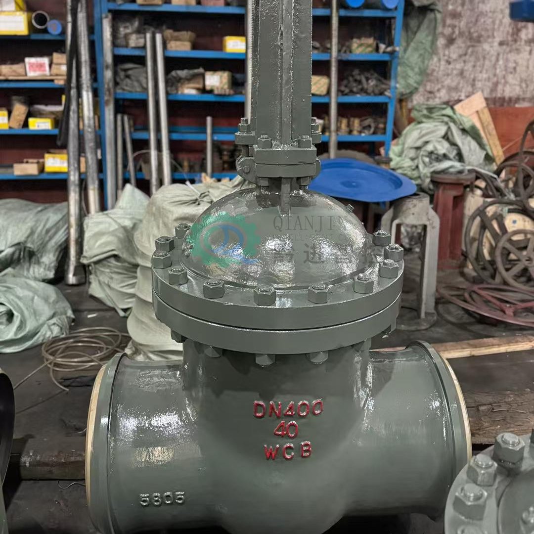 ǭӵ綯բ WCB Z961H-100C DN300