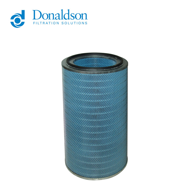 DonaldsonɭP145891