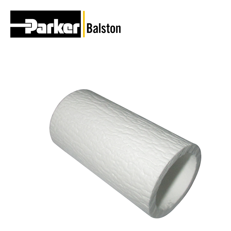 ParkerɿBalstonо100-12-DH
