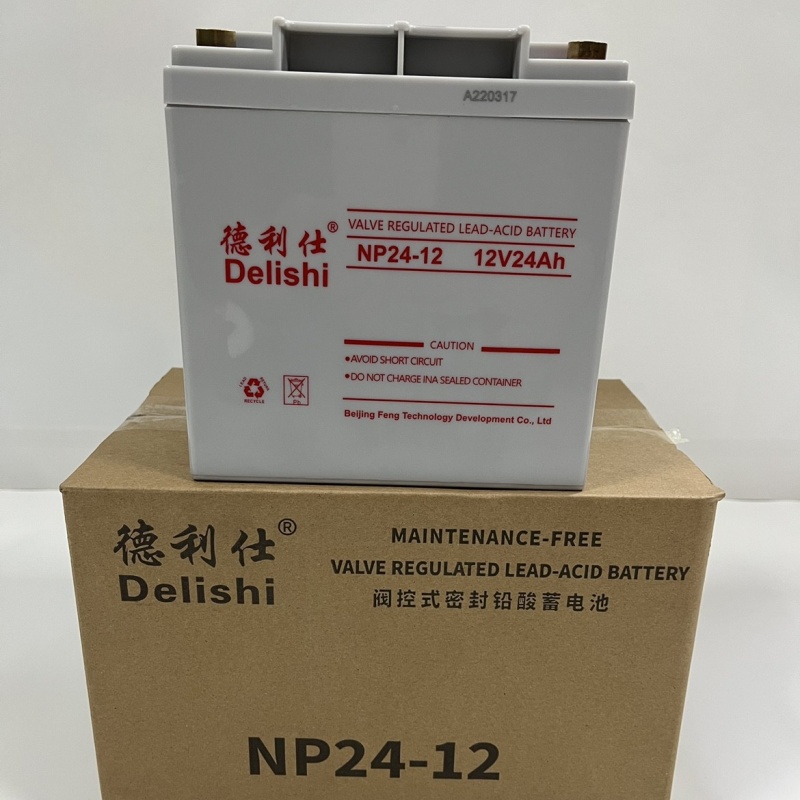DelishiNP24-1212V24AH