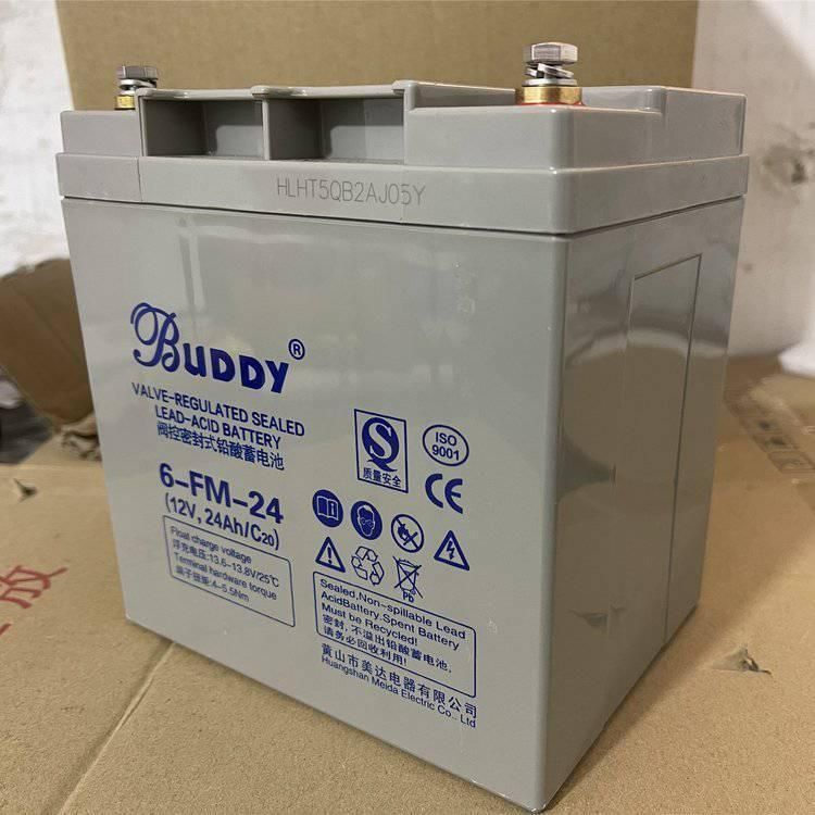 BUDDY6-FM-24ϵͳԴ12V24AH