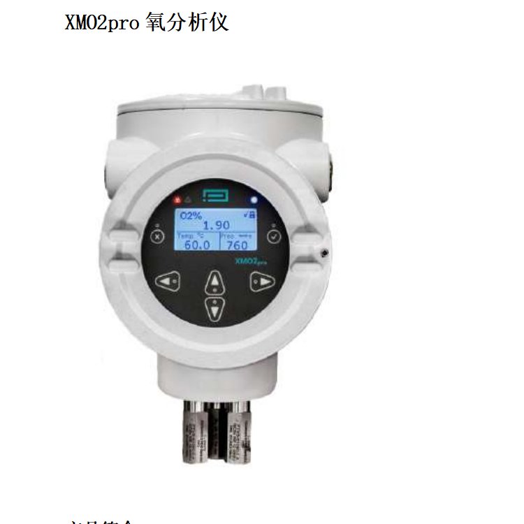 Panametrics氧分析仪XMO2pro