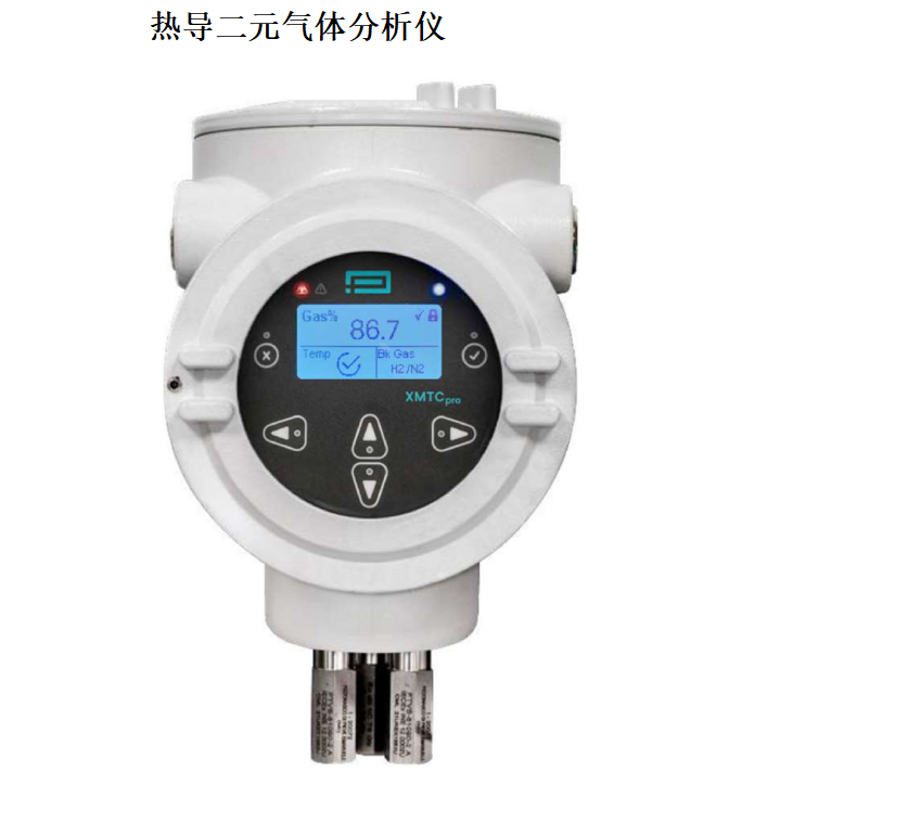 Panametrics热导二元气体分析仪XMO2pro