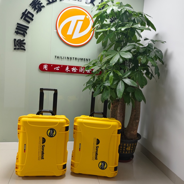 ӢSonatestڶʽ̽ͷWP2