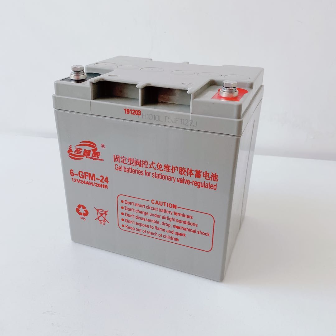 Shengpuweiʥ6-GFM-24 12V24AH