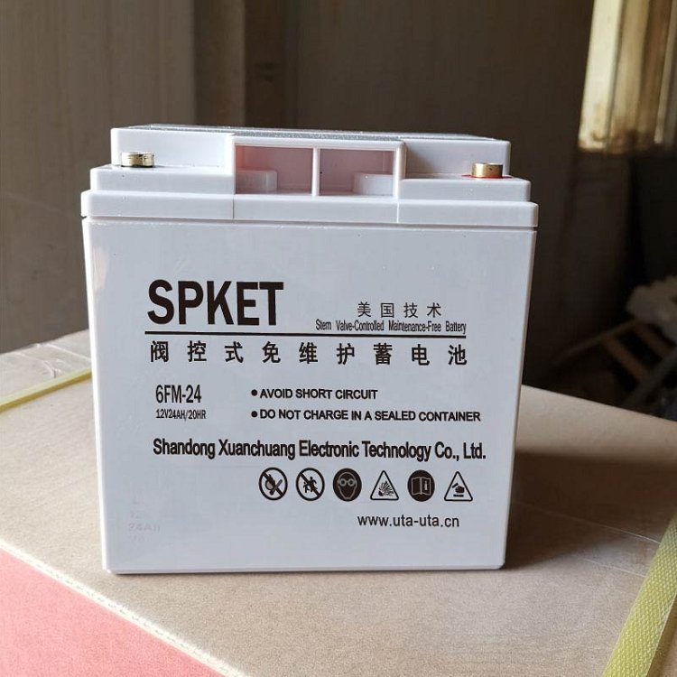 SPKET˹6FM-24ʽά12V24AH