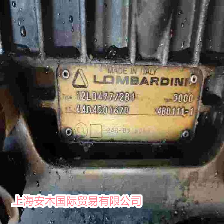 Lombardini¡͵ͷLDW702MG
