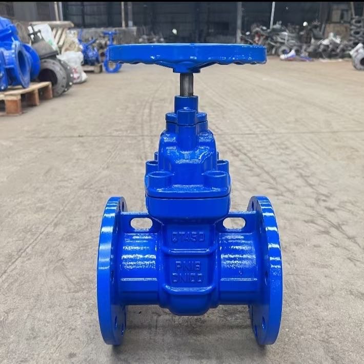 ܷⰵ˷բ DN100Z45X-16Q