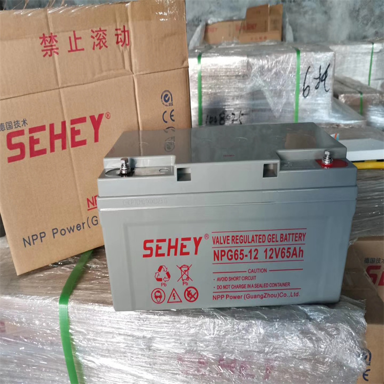 SEHEYNPG65-12 12V65AH