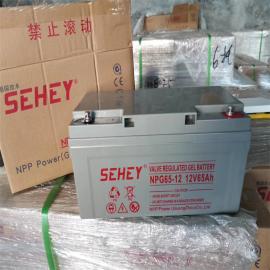 SEHEY늳NPG65-12 12V65AH