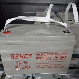 SEHEY늳NPG100-12UPSgԴ12V100AH