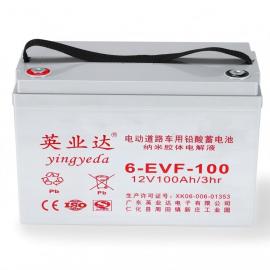 yingyedaӢI(y)_(d)늳6-EVF-100 12V100AH