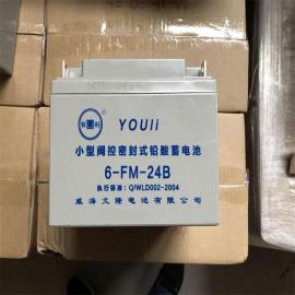 늳6-FM-24B 12V24AH