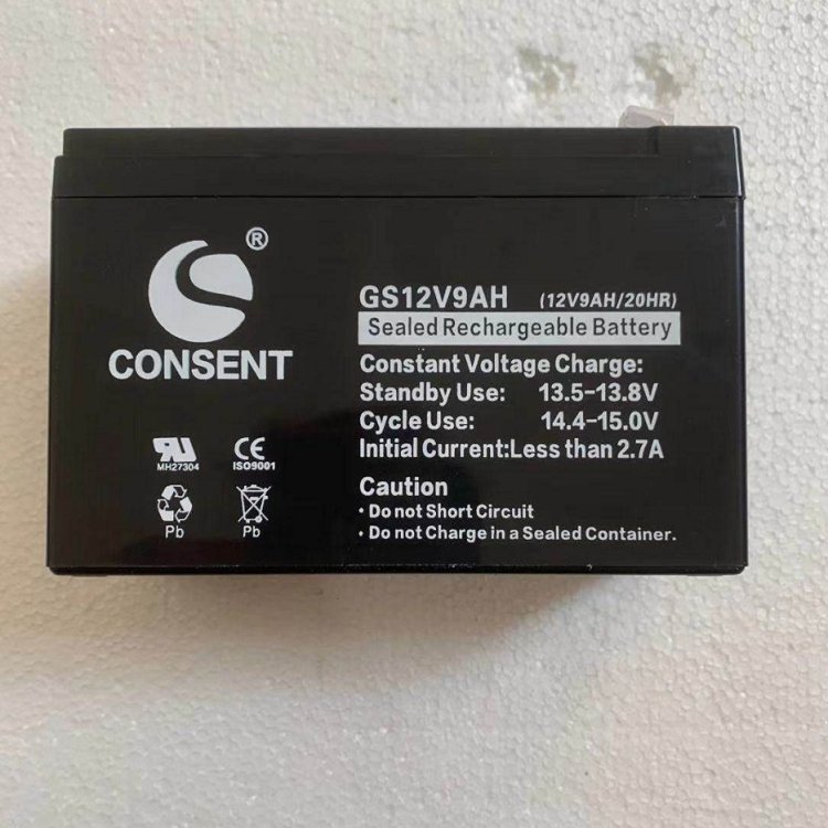 CONSENTʢGS12V9AHصԴ12V9AH