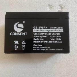 CONSENTʢ늳GS12V9AH܃xdԴ12V9AH