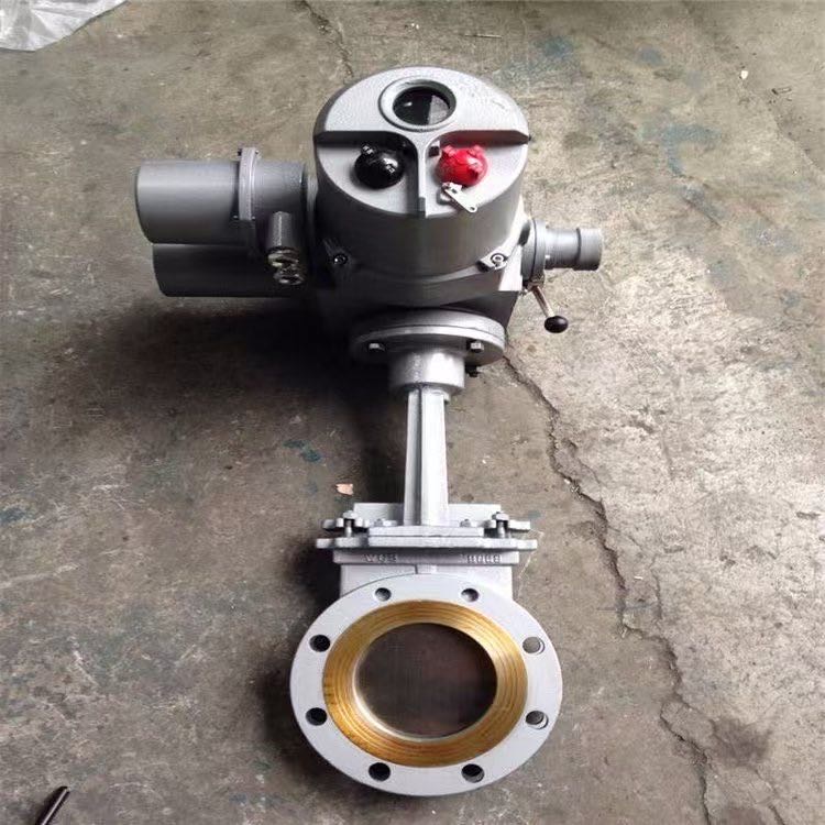 ܵͶԼʽբ 綯Һ ĥPZ973H-16C