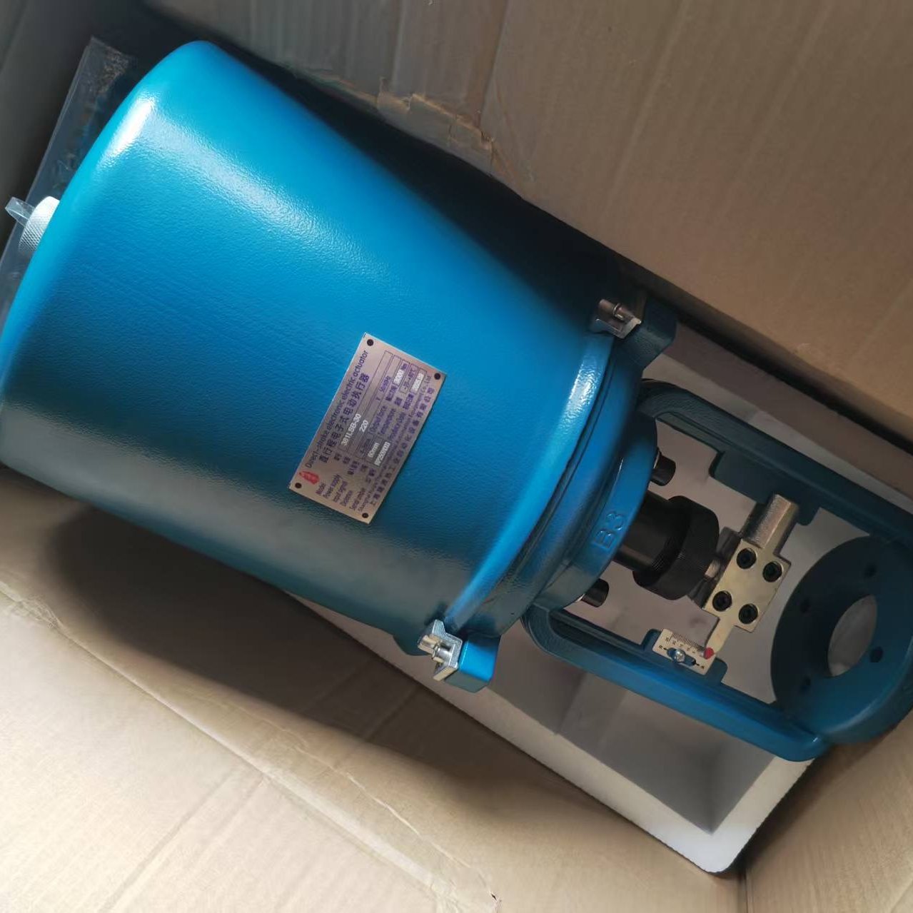 381ʽֱгִ 220V 381LSB-30