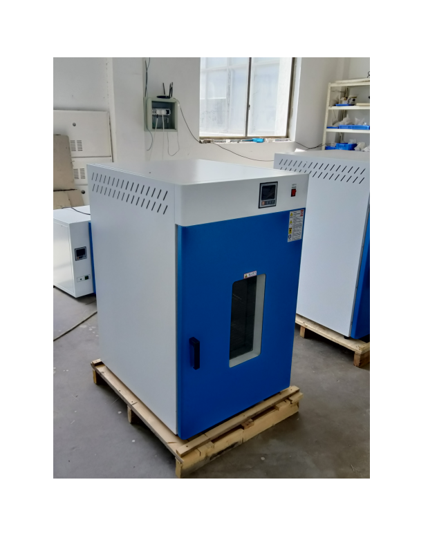 立式电热恒温鼓风干燥箱DHG-9645