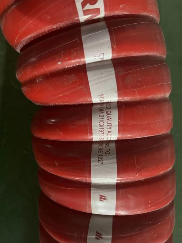 DANPOREشϿ˸ϹBIOPHARM SIL W