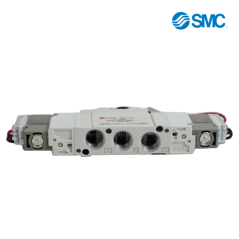 SMCMC5ͨŷͺ SY5220-5GZ-01