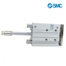 SMCMGP-Z ϵ ˱MGPM40-100BZ-XC8