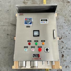 戶外不銹鋼三防儀表配電箱FEP56-G依客思