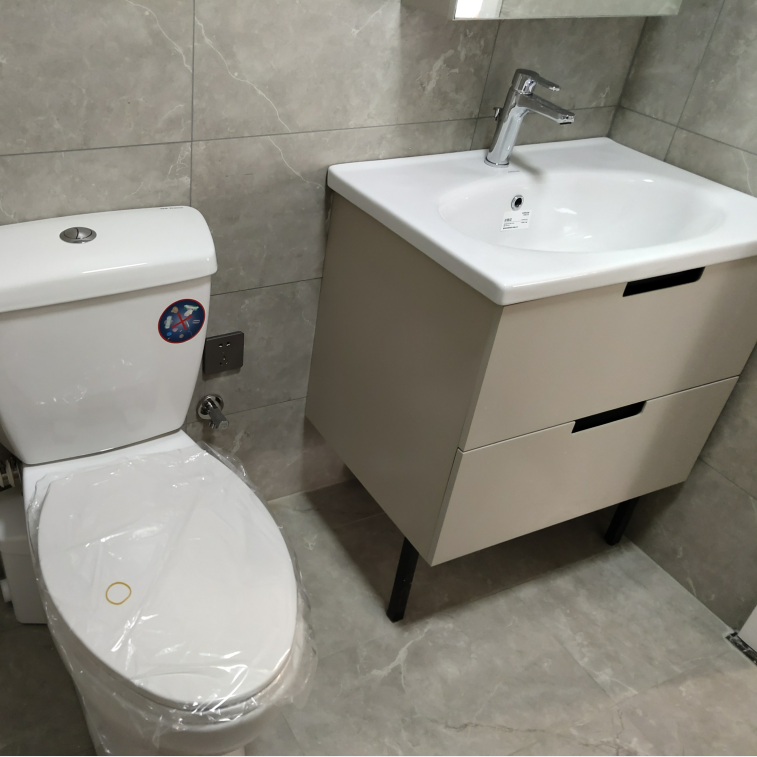 法国SFA办公室加装厕所间污水提升装置同层排水污水提升泵SANI-