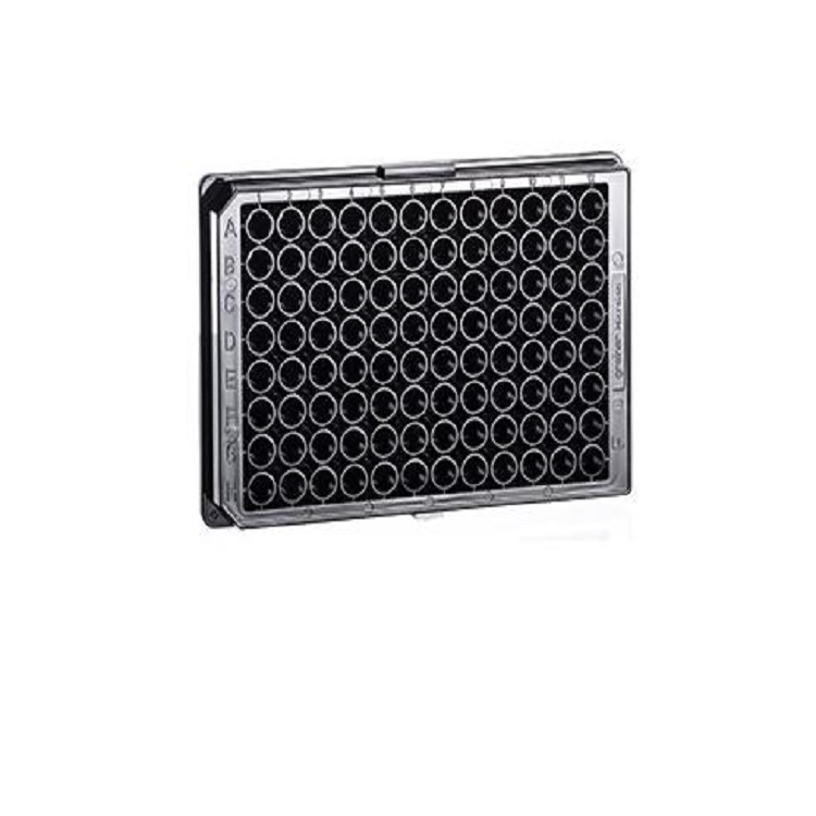  96HTS΢װ ۱ϩF͵̴ ɫ 