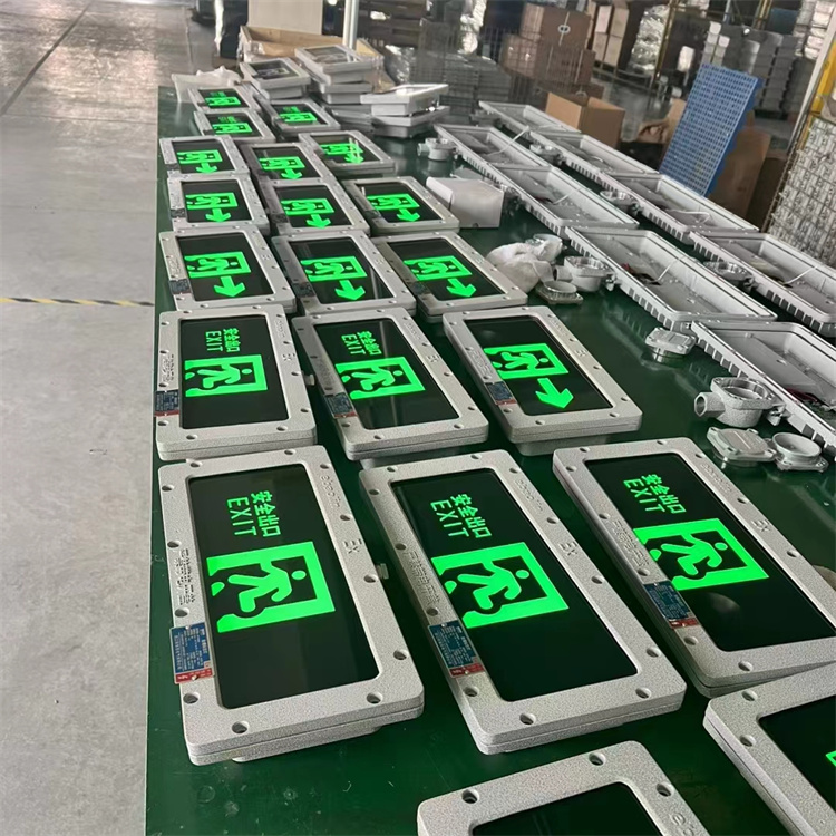 BAYD81ɢָʾưȫڷ־˼