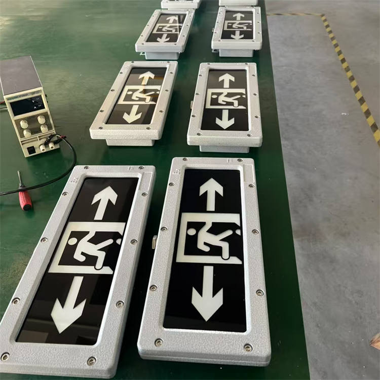 BAYD81ɢָʾưȫڷ־˼