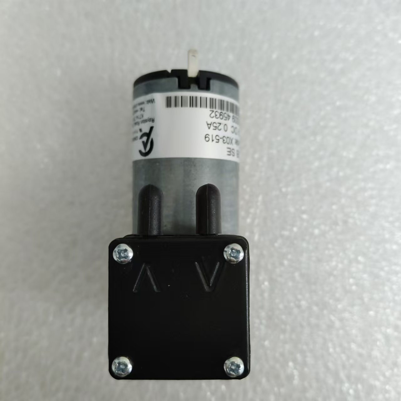 Ӣ˹ CHARLES AUSTEN ձáĤD3B SE X03-502RD01RD1